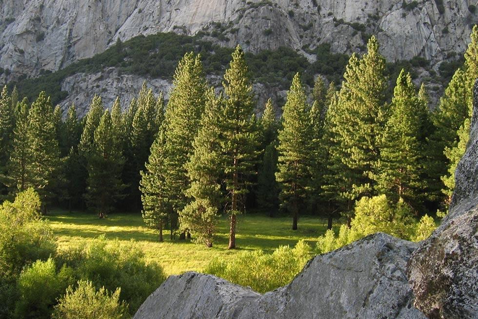 John Muir Lodge Hume Exteriér fotografie